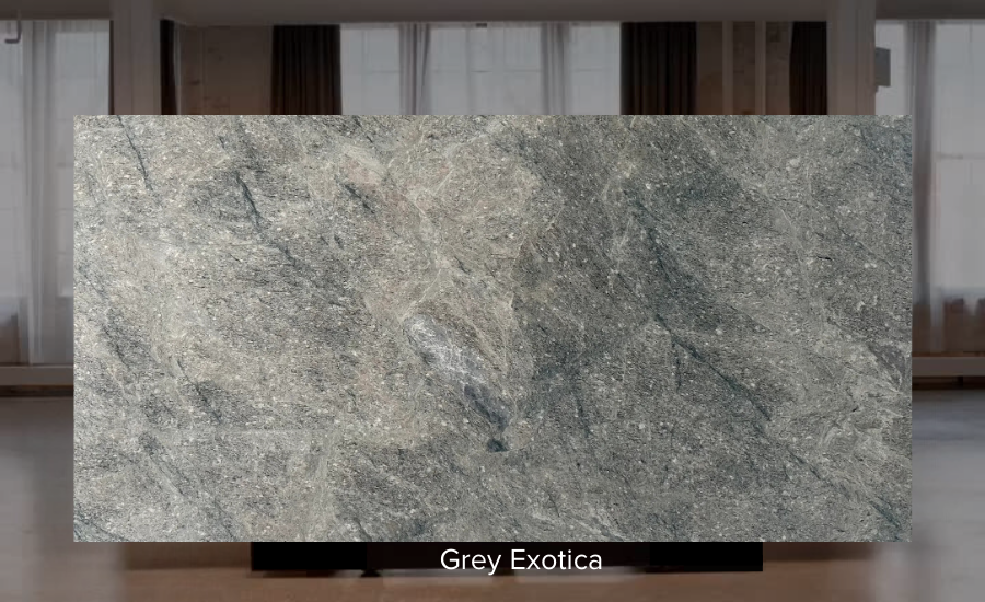 Grey Exotica