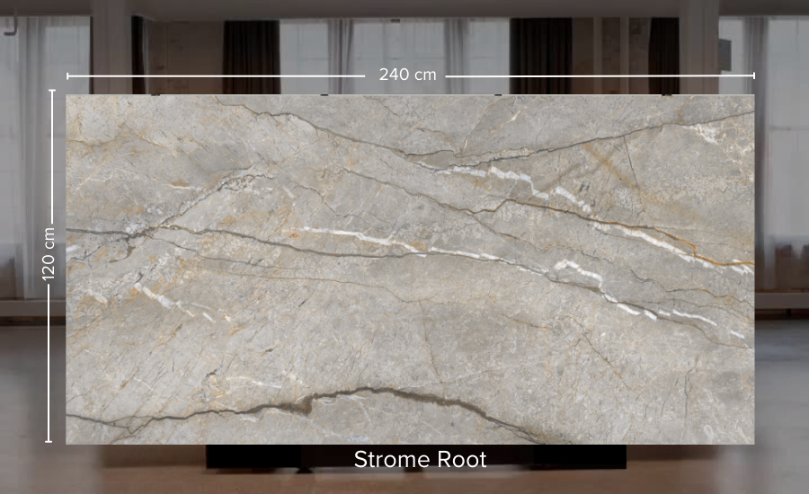 Strome Root
